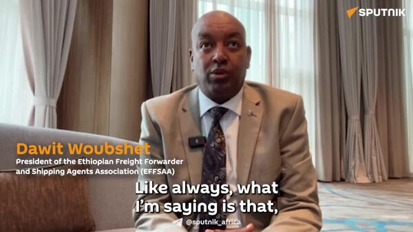 Africa Has 'Very Big Untapped Potential': Ethiopian Logistics Leader Outlines Path to Intra-Trade Growth & Self-Reliance - Sputnik Africa