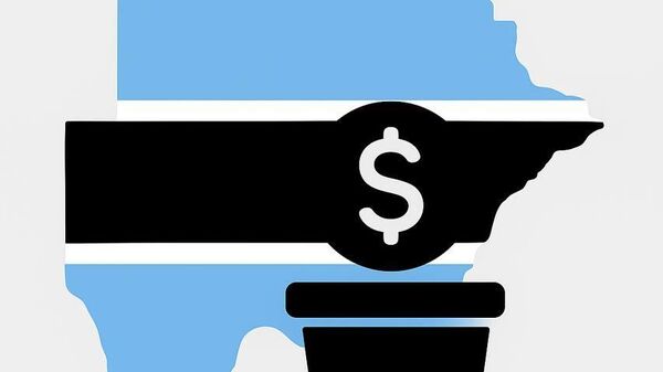 Botswana Bets on the Future with a New Sovereign Wealth Fund - Sputnik Africa