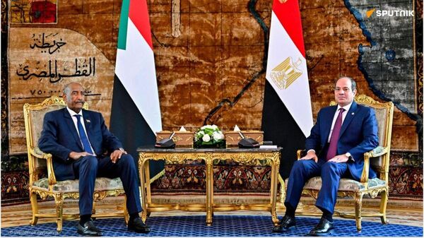 'Egypt Will Never Allow Unity & Cohesion of Sudanese Army to Be Undermined': Expert - Sputnik Africa