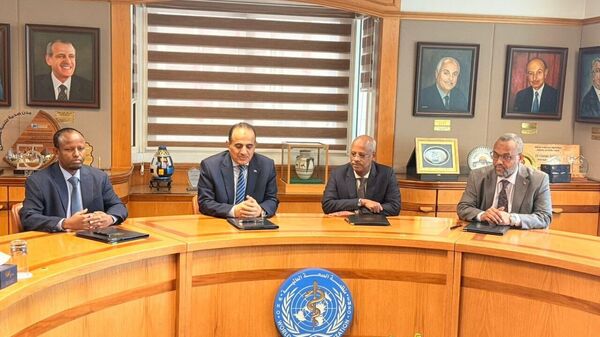 Sudan, Somalia, Yemen & Djibouti Form Regional Health Alliance - Sputnik Africa