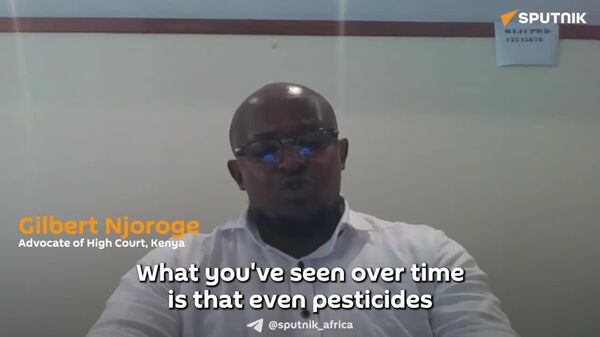Kenyan Lawyer Accuses Multinationals of Pesticide 'Double Standard,' Demands Equal Safety for Africans - Sputnik Africa