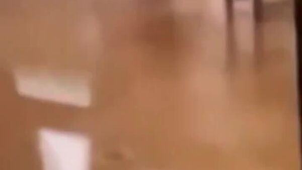 Video of Louvre Robbery Filmed Inside Museum Released - Sputnik Africa