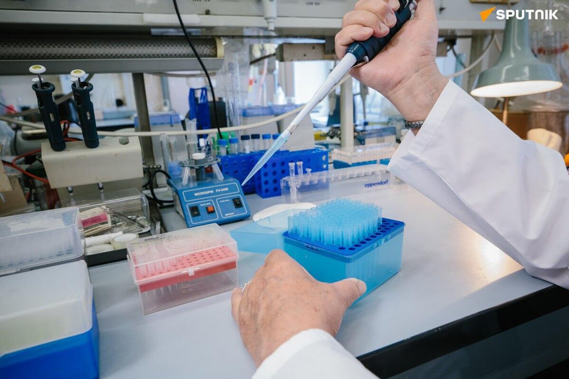 Des neurobiotiques révolutionnaires issus de l’intestin ont été développés en Russie pour traiter la dépression et Parkinson - Sputnik Afrique, 1920, 19.10.2025