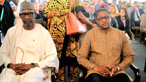 AES Expands From Collective Defense to Holistic Diplomacy & Development, Malian & Burkinabé FMs Note - Sputnik Africa