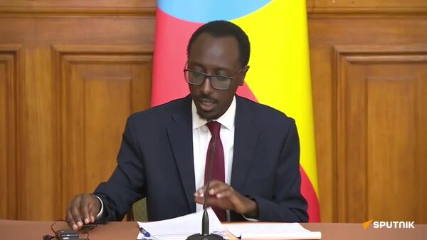 Through Russia-Ethiopia Agreement on NPP Construction, Addis Ababa Hopes to Enhance Its Leading Position as Regional Energy Exporter: Timothewos to Sputnik Africa - Sputnik Africa