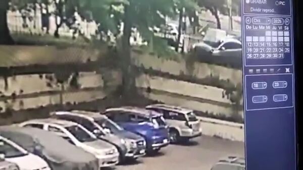 ▶ Art du stationnement avec un salto en plein vol - Sputnik Afrique