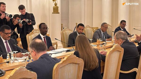 Russia Supports African Nations in Formulating and Implementing Independent Policies, Says Political Science Expert - Sputnik Africa