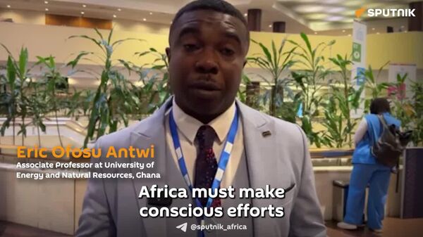 Africa Must Build Its Own E-Mobility Value Chain, Ghanaian Professor Says - Sputnik Africa