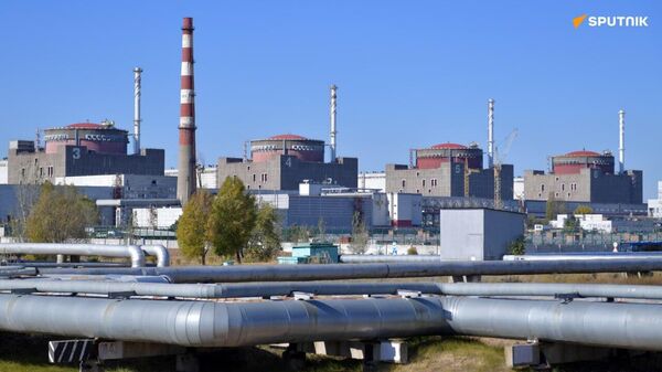 Russia Seeks IAEA Assistance to Protect Zaporozhye NPP under Fire from Kiev - Sputnik Africa