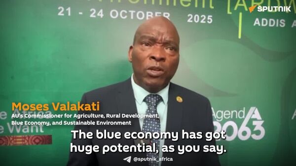 Vast Water Resources Remain Underused in Africa, AU Commissioner Warns - Sputnik Africa