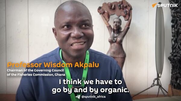 Africa Should Focus on Food Self-Sufficiency, Not Just Exports: Professor - Sputnik Africa