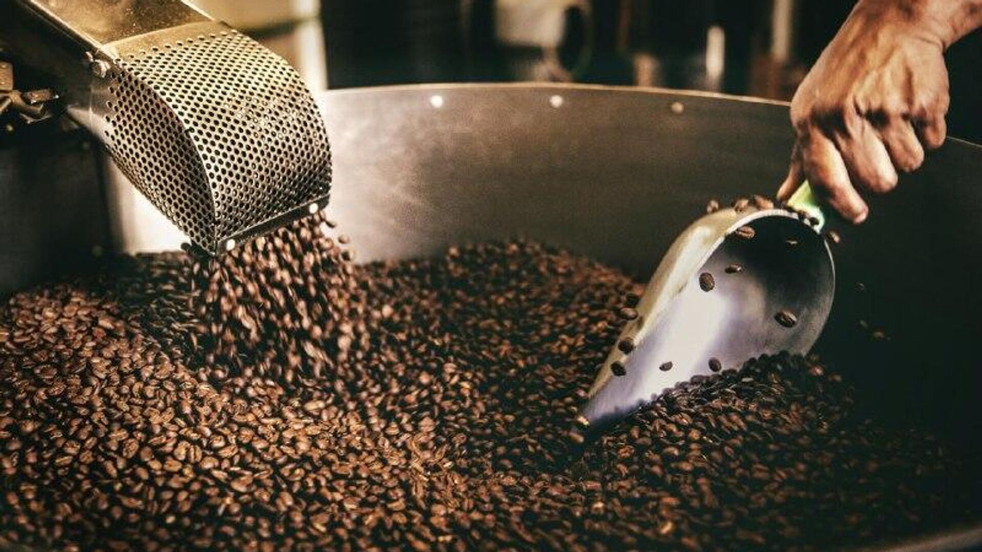 Arabica Coffee Price Reaches Historic High Arabica Coffee Price Reaches Historic High - Sputnik Africa, 1920, 23.10.2025