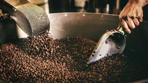 Arabica Coffee Price Reaches Historic High - Sputnik Africa