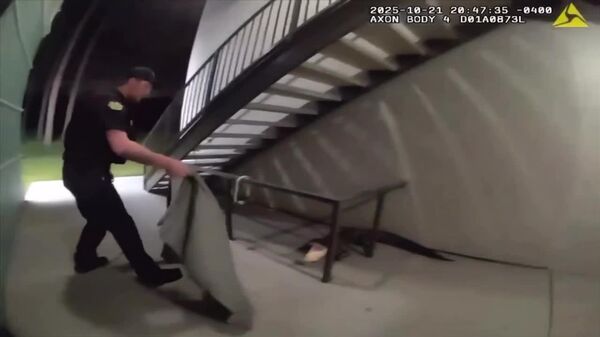 Crocodile en virée urbaine: les flics floridiens au corps-à-corps - Sputnik Afrique