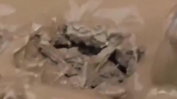 #viral | Unyielding Compassion: Mexican Soldier Saves Tiny Mouse Amid Flooding Chaos - Sputnik Africa