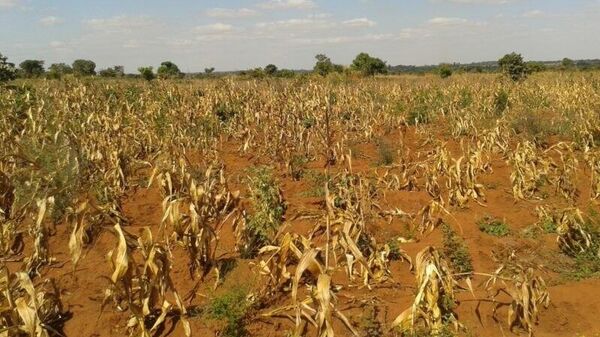 L'état d'urgence est en cours sur la moitié du territoire du Malawi à cause de la sécheresse - Sputnik Afrique
