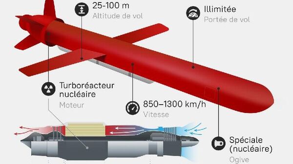 Trois avantages clés des missiles russes Bourevestnik, décryptés par un expert militaire chinois - Sputnik Afrique