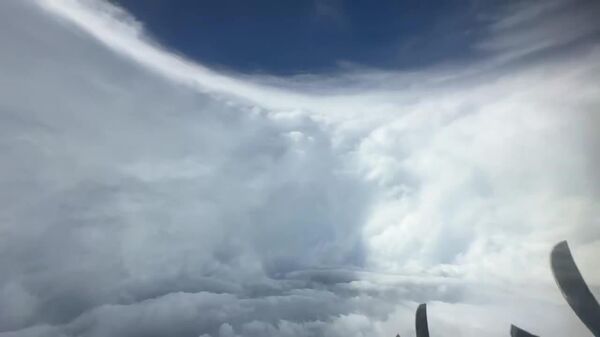 #viral | Haven Within Chaos: Inside Hurricane Melissa - Sputnik Africa