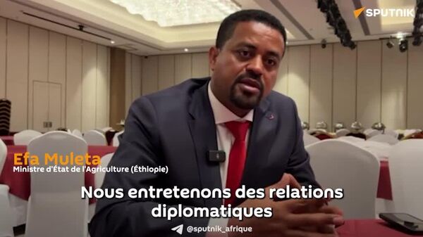 Le partenariat Russie-Éthiopie aide à moderniser l'agriculture, selon un ministre d'État - Sputnik Afrique