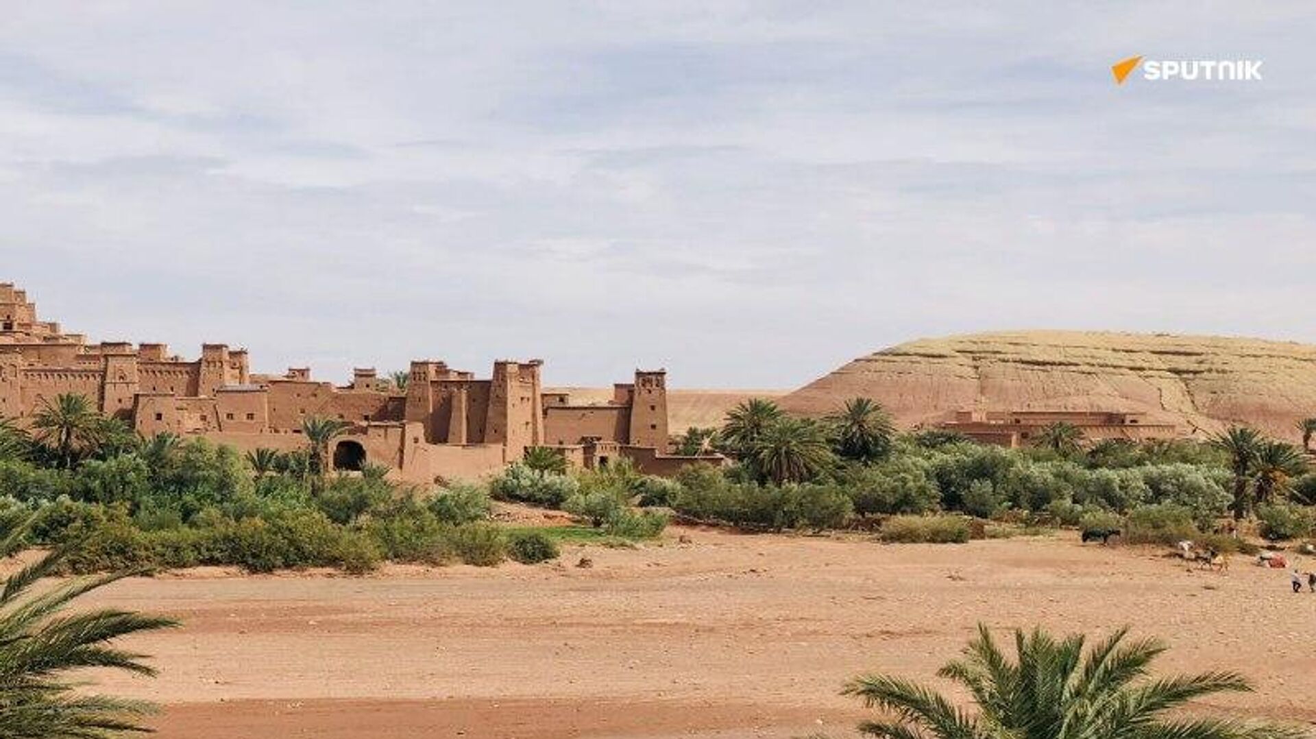 Le Conseil de sécurité s'apprête à voter une nouvelle résolution sur le Sahara occidental Le Conseil de sécurité s'apprête à voter une nouvelle résolution sur le Sahara occidental - Sputnik Afrique, 1920, 29.10.2025