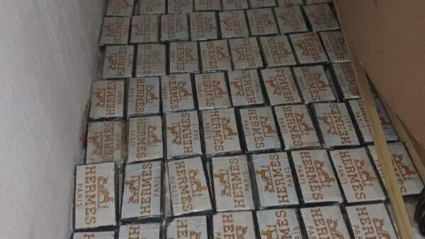 Major Cocaine Bust: $1 - Sputnik Africa