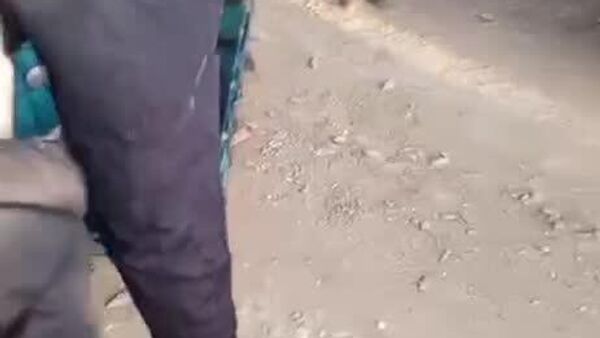 ▶ Un lynx perché sur un poteau sauvé en Sibérie orientale - Sputnik Afrique