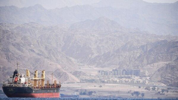 Ethiopia’s Red Sea Quest Marks New Era of Regional Balance, Says Ethiopian Analyst - Sputnik Africa