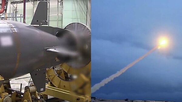 Russia’s Burevestnik & Poseidon are guarantees against World War III—military analyst - Sputnik Africa