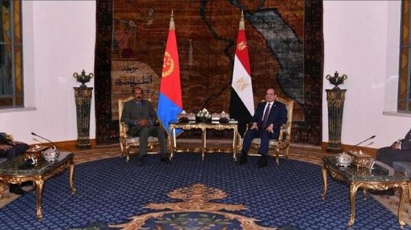 Eritrea’s President Reaffirms Support for Sudan’s Sovereignty During Cairo Talks - Sputnik Africa
