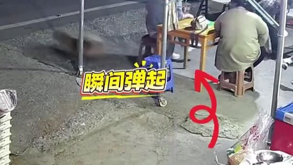 #viral | Fluffy Guardian Angel: Dog Miraculously Saves Entire Family From Car That Lost Control in China - Sputnik Africa