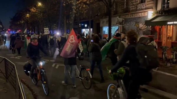 Sauvez la Palestine: des Français manifestent en soutien à Gaza - Sputnik Afrique