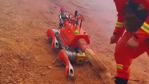 Un robot-chien aux prises avec un tuyau d'incendie: l'avenir des secours en vidéo - Sputnik Afrique