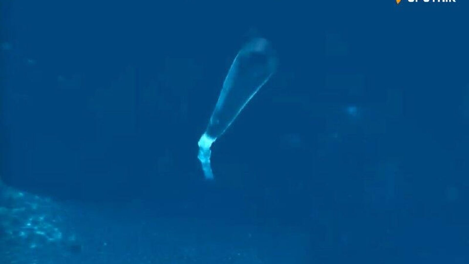 'Super Weapon' Poseidon Unveiled as Deterrent Against the West: Media 'Super Weapon' Poseidon Unveiled as Deterrent Against the West: Media - Sputnik Africa, 1920, 02.11.2025