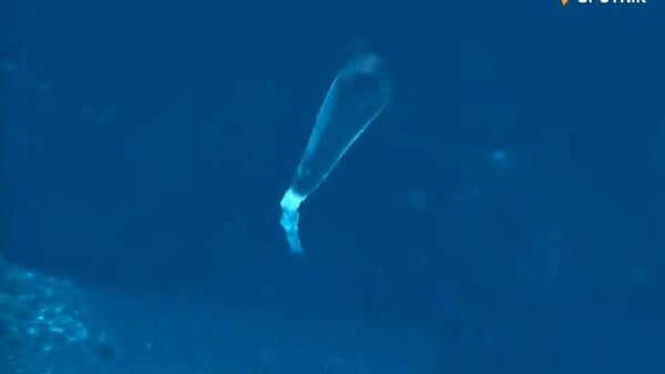 'Super Weapon' Poseidon Unveiled as Deterrent Against the West: Media - Sputnik Africa