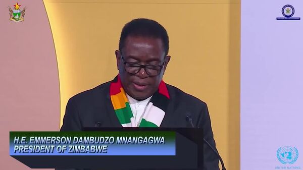 Zimbabwe Calls for Global Financial Reform at Doha Summit, Announces UN Security Council Bid - Sputnik Africa