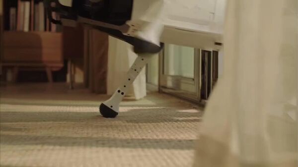 #viral | Meet Chinese Made High-Tech Canine Home Assistant - Sputnik Africa