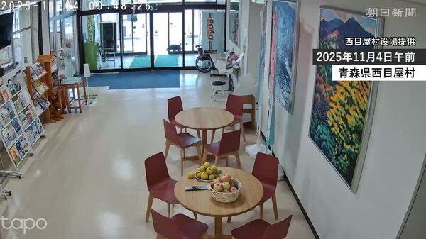 Ourson vs portes automatiques: visite surprise dans une mairie japonaise - Sputnik Afrique