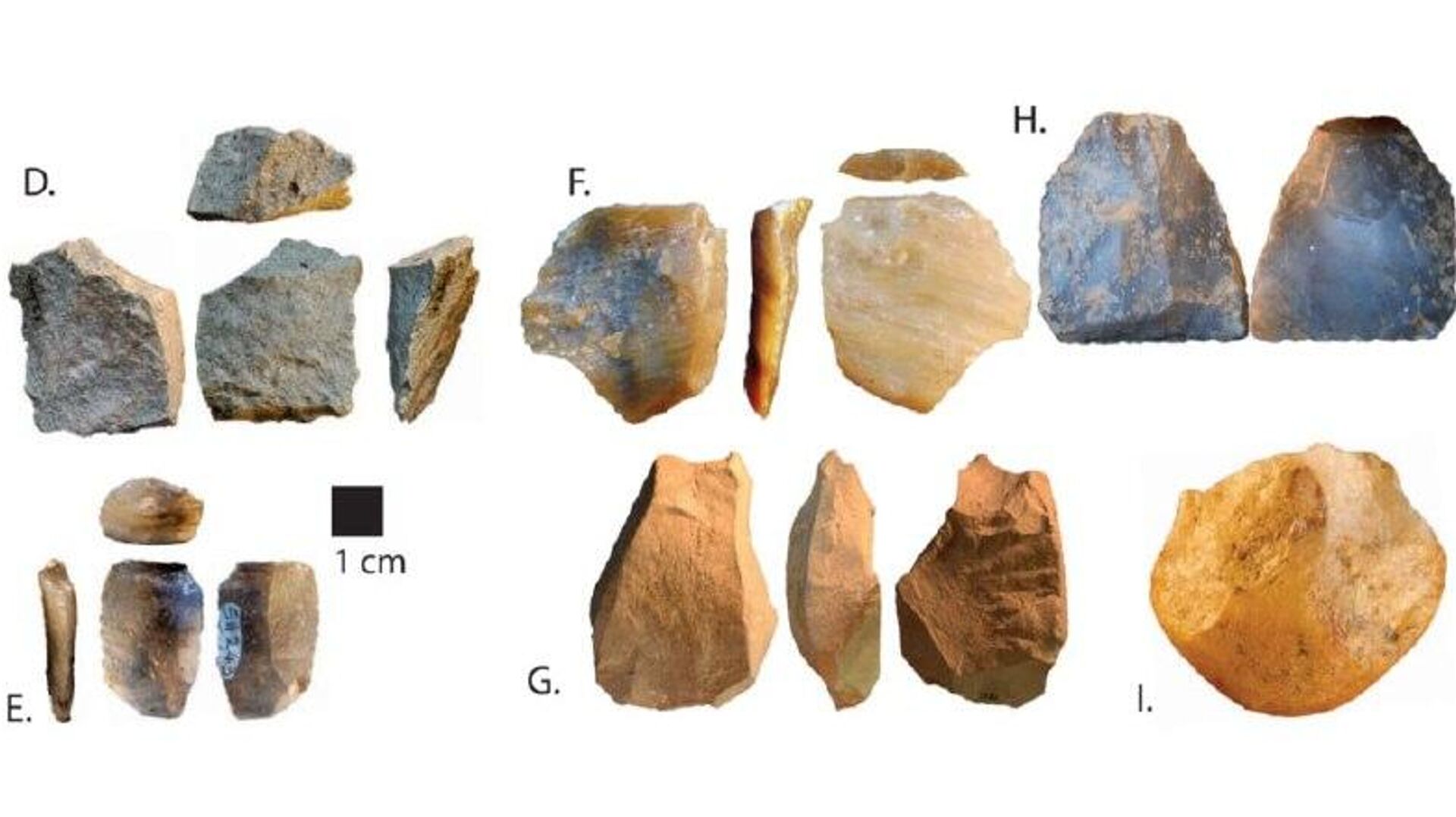 Des découvertes archéologiques au Kenya bouleversent l'idée établie de l'évolution humaine Des découvertes archéologiques au Kenya bouleversent l'idée établie de l'évolution humaine - Sputnik Afrique, 1920, 05.11.2025