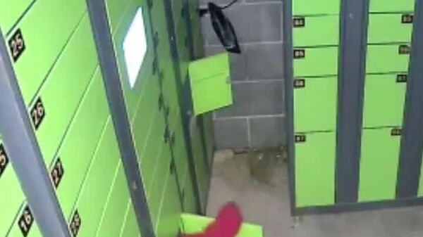 #viral | Game of Hide-and-Seek Took Unexpected Turn for This Little Boy in China - Sputnik Africa