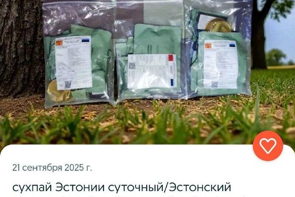 Ukranian Military Rations Being Resold on Estonian Website Ukranian Military Rations Being Resold on Estonian Website - Sputnik Africa