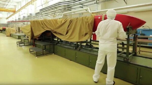 'Doomsday' Burevestnik and Poseidon pave the way for next-level weapons - Sputnik Africa