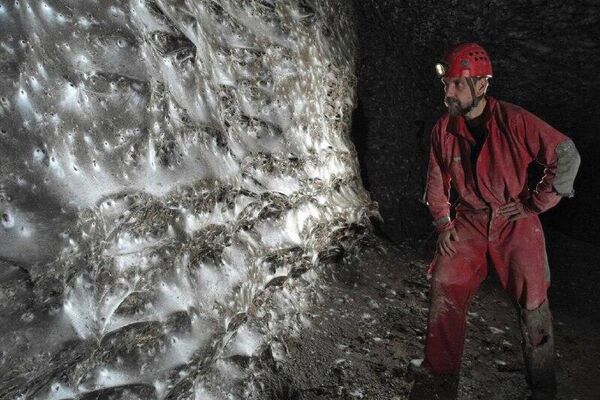 La plus grande toile d'araignée a été découverte en Europe La plus grande toile d'araignée a été découverte en Europe - Sputnik Afrique