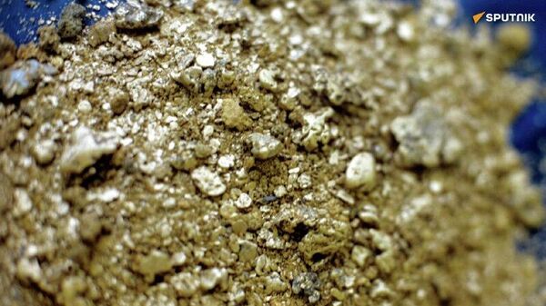 Le peuple malien est déterminé à imposer sa souveraineté: un analyste sur la révocation de permis d'exploration minière aux multinationales - Sputnik Afrique