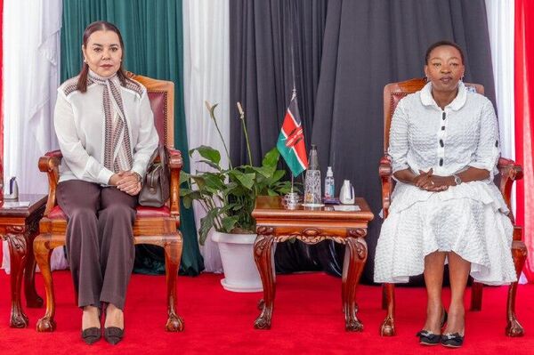 One Hundred Deaf Children to Gain Hearing Thanks to Joint Kenya-Morocco Initiative - Sputnik Africa