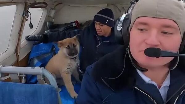 #viral | Dog Conquers Weightlessness: Meet New Member of Russian Aerobatic Team - Sputnik Africa