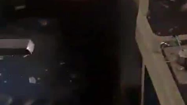 Un aigle pénètre dans un train en plein trajet en Inde - Sputnik Afrique