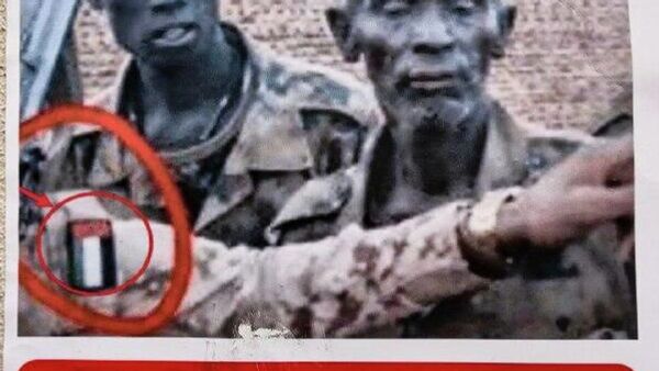 Sudanese Embassy in Moscow Shares Evidence of UAE Military Support for RSF Rebels - Sputnik Africa
