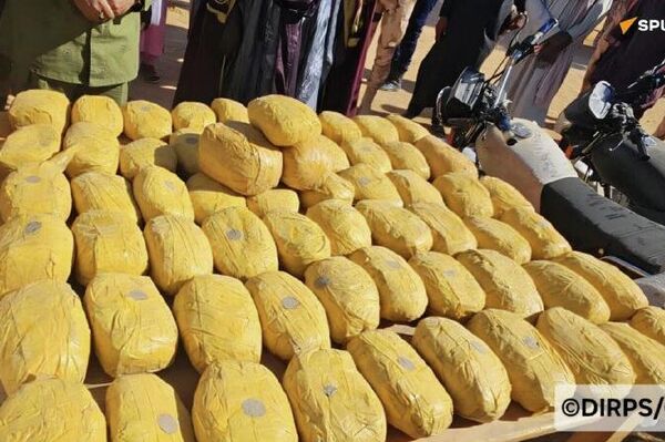 Au Niger, un double coup de filet de la Garde nationale contre les trafics d’armes et de drogue Au Niger, un double coup de filet de la Garde nationale contre les trafics d’armes et de drogue - Sputnik Afrique
