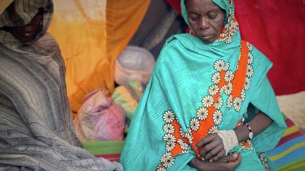 RSF Conceal Crimes in El Fasher by Burning and Burying Hundreds of Bodies, Sudan Doctors Network Says - Sputnik Africa