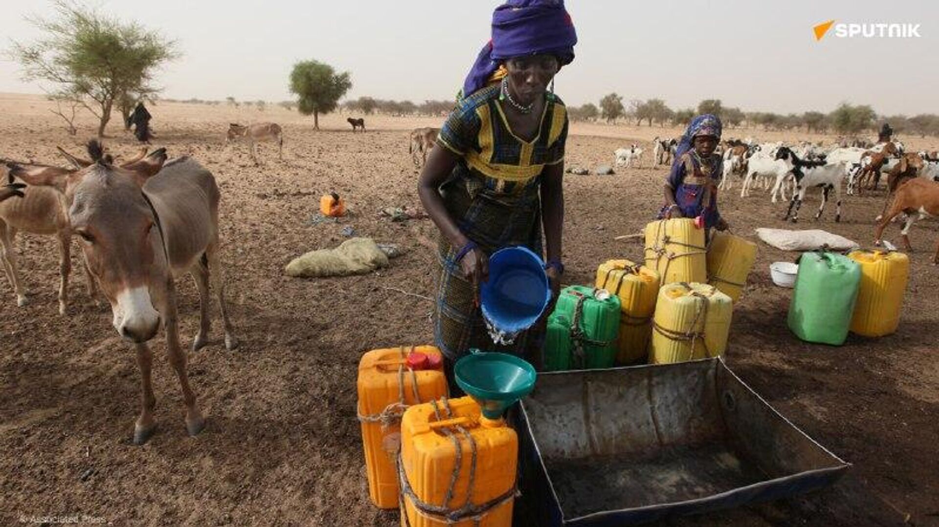 Au Niger, l’accès à l’eau et à l’assainissement amélioré grâce aux 165,5 M USD investis par la BAD Au Niger, l’accès à l’eau et à l’assainissement amélioré grâce aux 165,5 M USD investis par la BAD - Sputnik Afrique, 1920, 09.11.2025